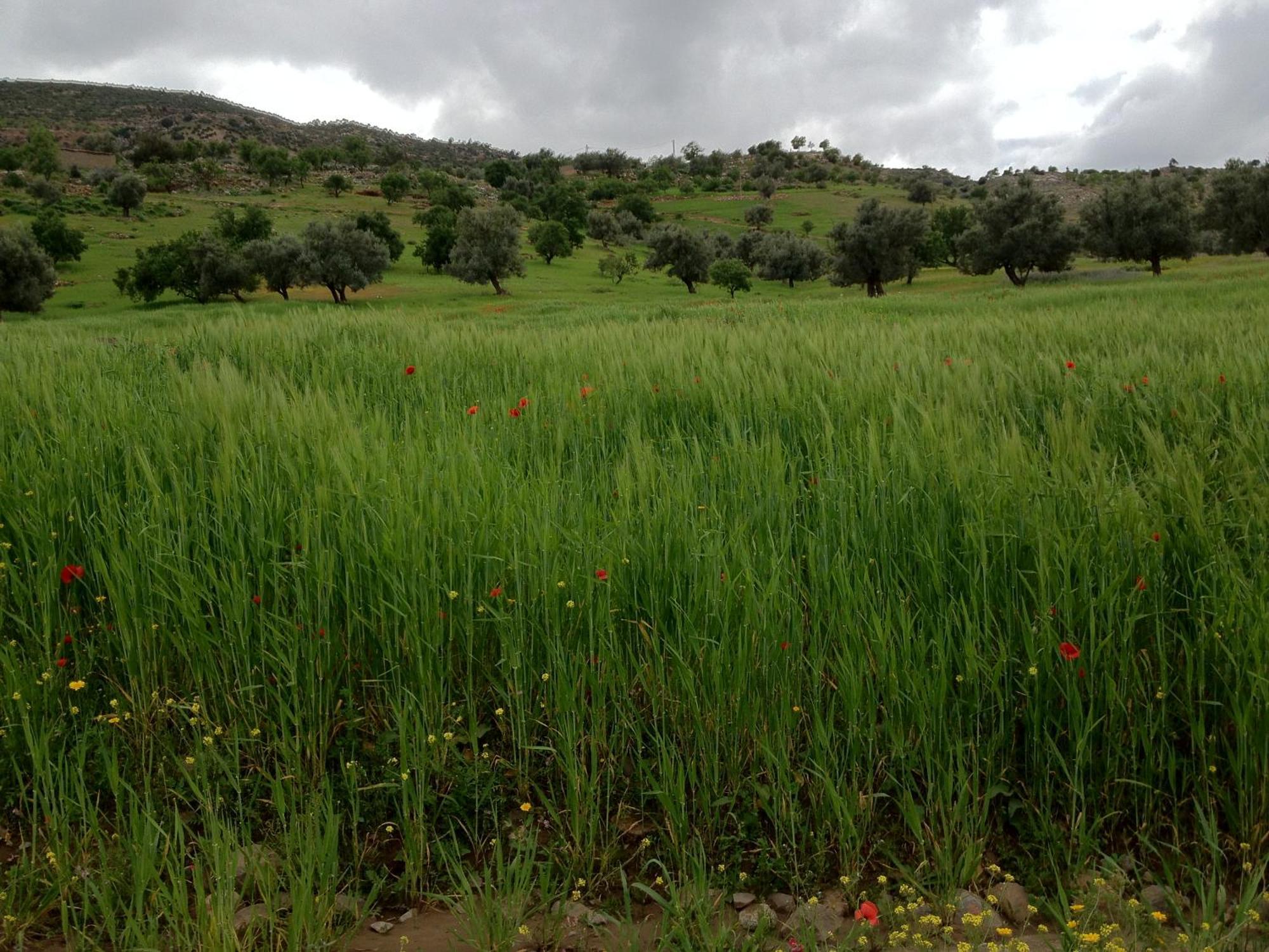 Villa Soo Bin Bine el Ouidane Esterno foto