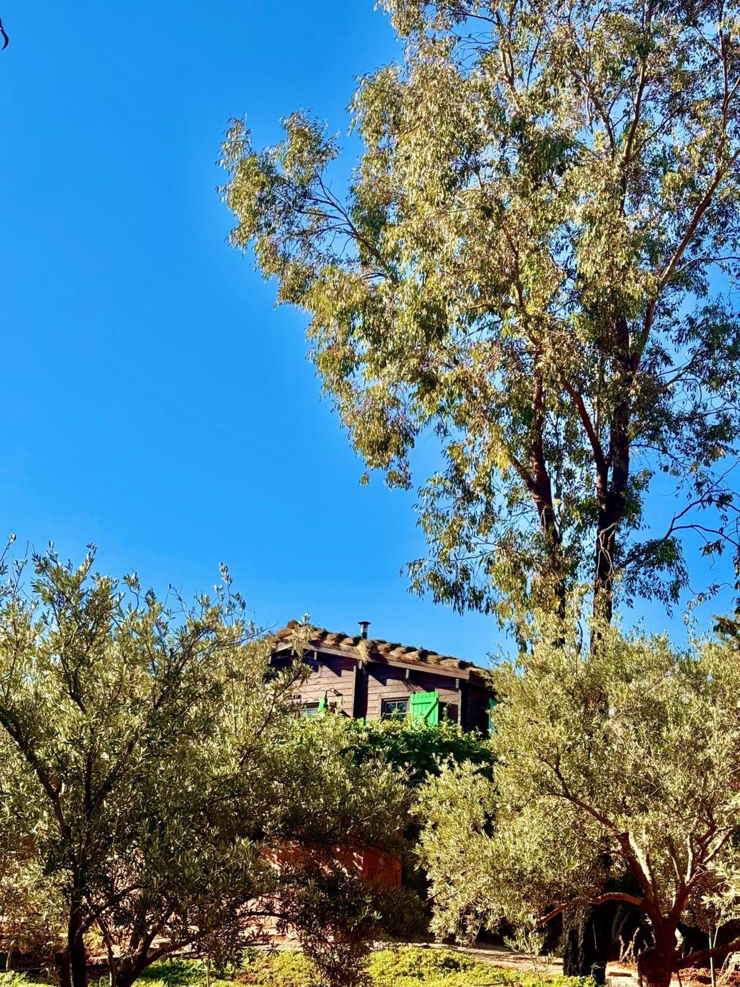 Villa Soo Bin Bine el Ouidane Esterno foto